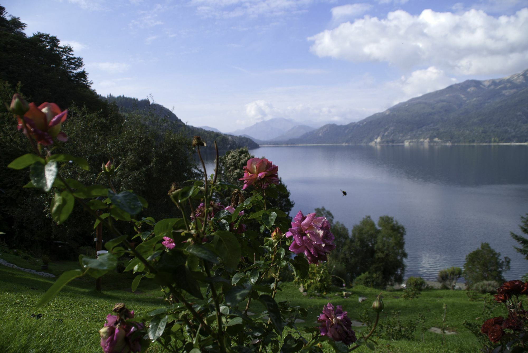 Cabanas Villa Panil San Carlos de Bariloche Ngoại thất bức ảnh