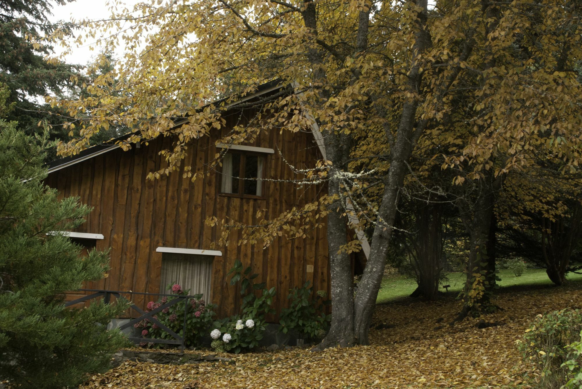 Cabanas Villa Panil San Carlos de Bariloche Ngoại thất bức ảnh