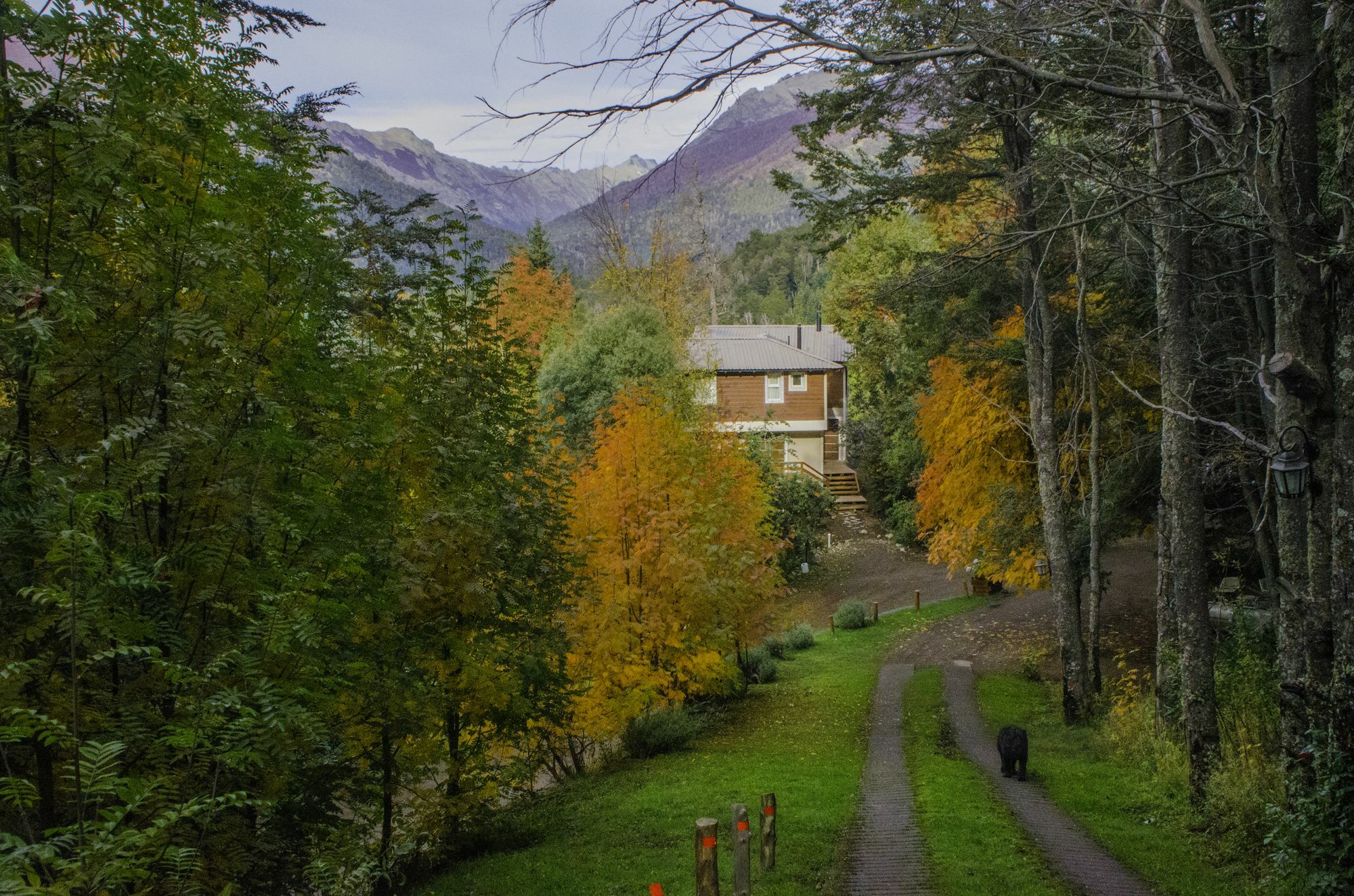 Cabanas Villa Panil San Carlos de Bariloche Ngoại thất bức ảnh