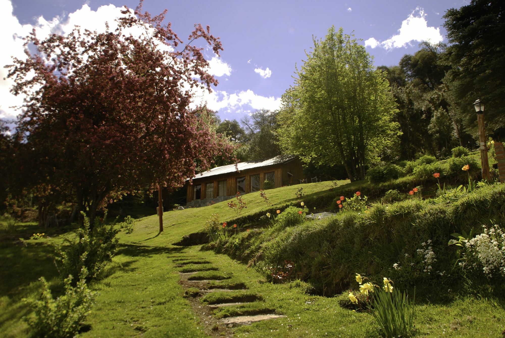 Cabanas Villa Panil San Carlos de Bariloche Ngoại thất bức ảnh