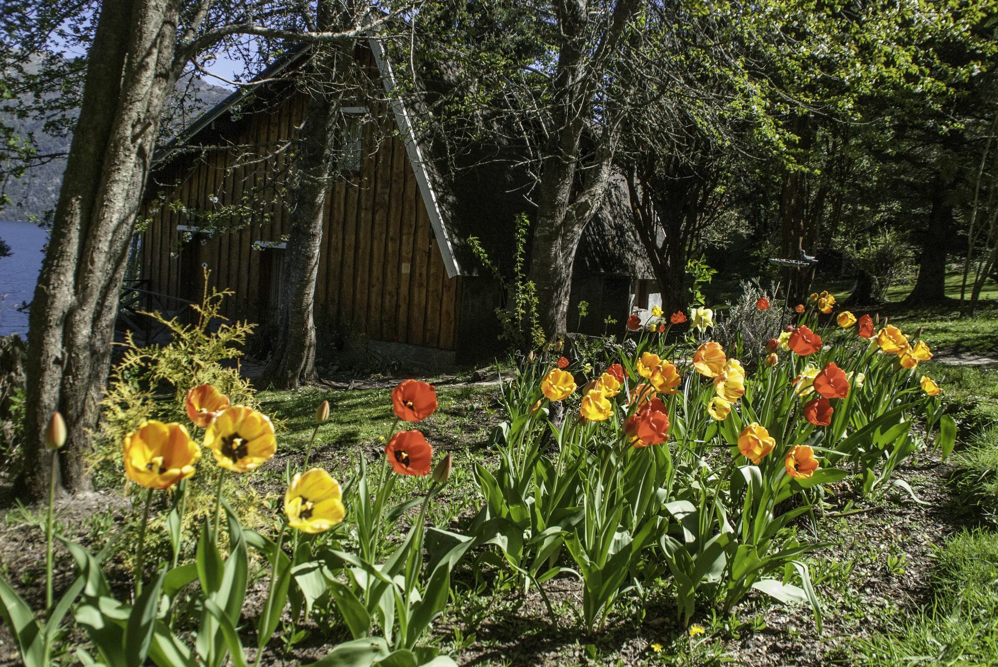 Cabanas Villa Panil San Carlos de Bariloche Ngoại thất bức ảnh